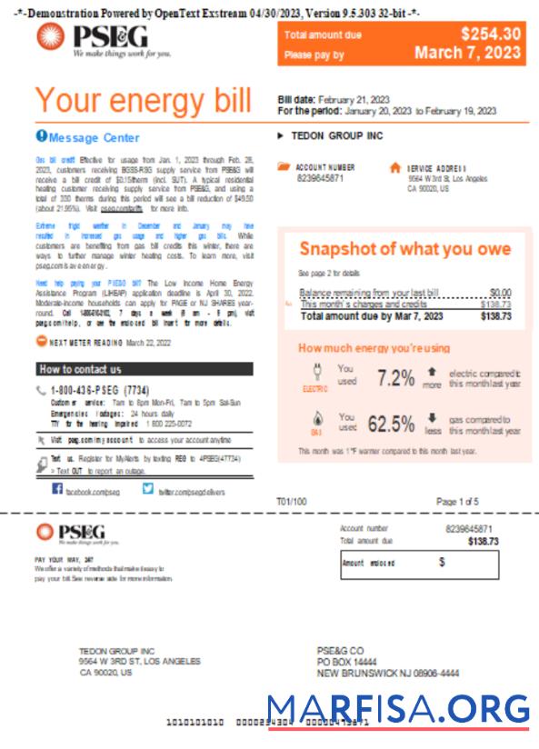 Blank New York PSEG utility business bill, page 1, SCR template
